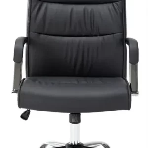 Sillón Directivo Verona Sedena Veg-Leather Negro Con